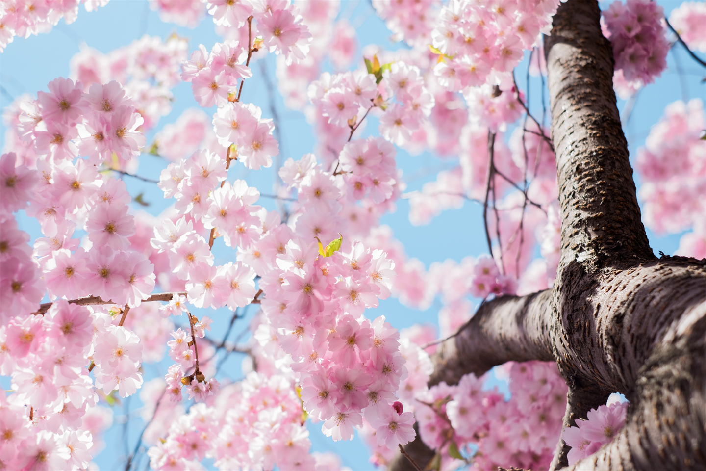"ShiawaseLab TOKYO（しあわせラボ東京）の公式ホームページのメインイメージ"